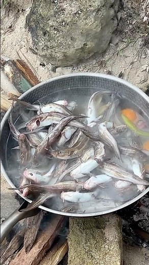 Boiling Fresh-Caught Fish into Rich, Comforting Soup - Ultimate Seaside Dinner Delight!