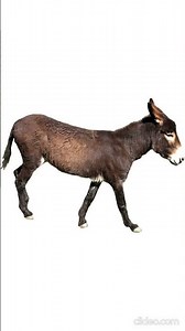 1 Bit 2 Bit 4 Bit 8 Bit 16 BIT 32 Bit 128 Bit 256 Bit 512 Bit 1024 Bit 2048 Bit 4096 Bit 8192 Bit