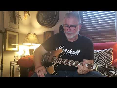 Review: Ibanez AS73 FM