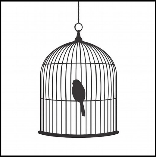 Semiotics of the Birdcage