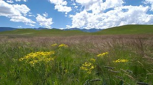 Drakensberg: Barrier of Spears | Nature