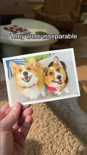 We received something special