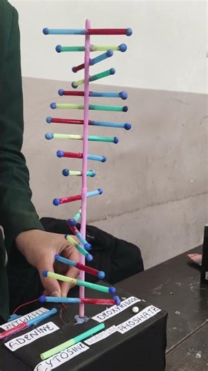 DNA Structure | Science Experiment | #viral #shorts #science #experiment #sciencefairproject