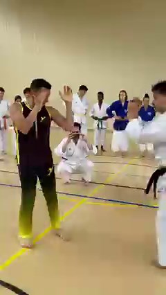 239K views · 5.9K reactions | pietrodirauso Leg defences against front Kick - flow principle | Karate Techniques | Facebook