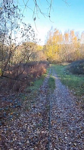 17K views · 152 reactions | ⭐️ ‍♂️ Come For A Walk With Me‍♂️ ⭐️...