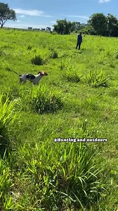 1.5M views · 10K reactions | Está Bravo El Jabalí  #hunting #outdoors #vidadecampo #Naturaleza #jabali #reelsviralシ | Hunting and outdoors | Facebook