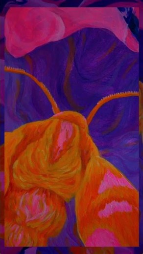 lime hawk moth #painting #hawkmoth #naturelovers #moth #artist