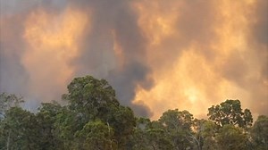 5.4K views · 97 reactions | BUSHFIRE EMERGENCY Bushfires have been threatening lives and homes across the state. An emergency level fire flared up close to Collie, and further north, near Mogumber, police rescued a 12-year-old boy who was trying to escape a fire by driving across a paddock. | 7NEWS Regional WA | Facebook