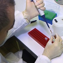 Video: Development and Validation of an Ultrasensitive Single Molecule Array Digital Enzyme-linked Immunosorbent Assay for Human Interferon-α