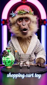 Magic: A Baby Monkey Materializes parachute ball kids (One-Shot)