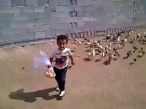 [SO FUNNY] Little boy getting chased by hungry chickens