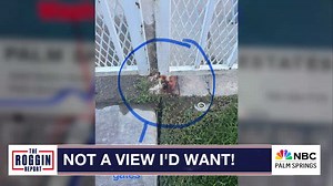 Residents Sound Off on Neglected Conditions at Palm Springs View Estates