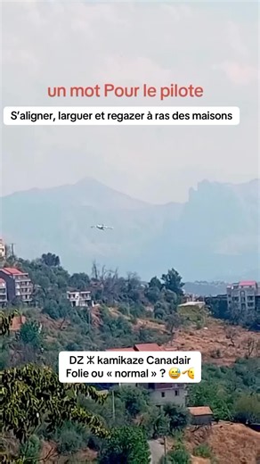 Bombardier d’eau algérien BE200 🇩🇿 Canadair algérien pilote excellent #algerie #algeria #dzpower #kabylie #incendie feux de forêt montagne