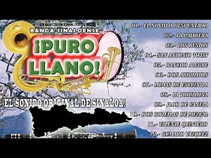 Banda Sinaloense Puro Llano - Pura Musica De Viento El Sonido Original De Sinaloa (Album Completo)