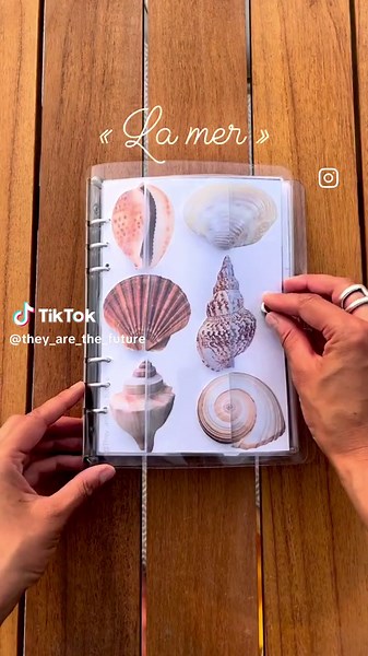 Quiet book d’été 2/3 ans et plus «La mer» Je suis ravi de vous présenter ma dernière création de quiet book pour A. À l’intérieur, vous découvrirez les pages suivantes : * Un puzzle avec de véritables images coquillages. * Explorez les mystérieux animaux des abysses avec votre lampe torche (cherche et trouve). * Classez les coquillages par forme. * Identifiez à quel poisson appartiennent ces écailles. * Laissez libre cours à votre créativité en dessinant dans le sable avec des coquillages. * Déc