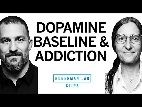 Dopamine Baseline, Impulsivity & Addiction | Dr. Anna Lempke & Dr.Andrew Huberman