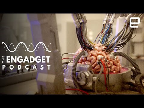 Sundance 2021: Now in VR | Engadget Podcast Live