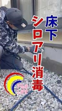 Disinfection of termites under the floor #Termite disinfection #Under the floor #Outer perimeter ...