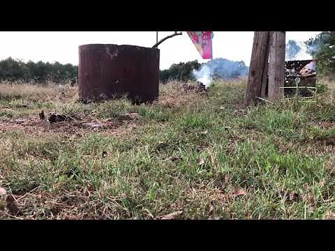 Blowing up tree stump with black powder