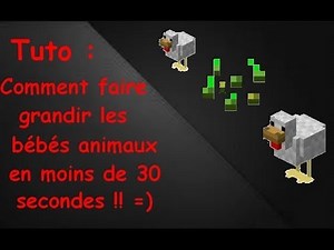 Tuto : faire grandir des bébés animaux en 30 secondes - Minecraft