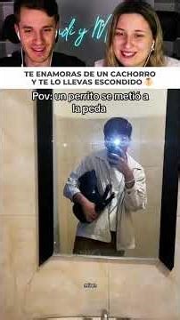 Se encuentra un cachorro en la fiesta y se lo intenta llevar a casa