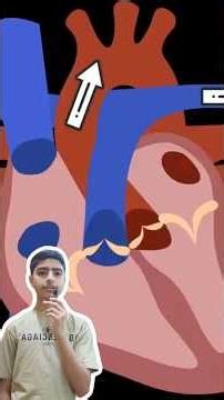 Working of a heart with animation in 60 seconds 🔥❤️ #cbse #class10 #ncert #study #heart #science