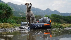 Outdogs Airpad: All Terrain Outdoor Inflatable Dog Pad