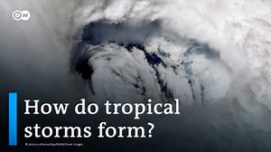 How do tropical storms form?