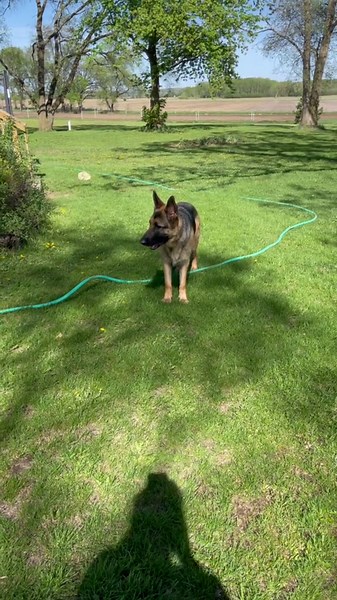 Millie’s first pool day did not go how I expected