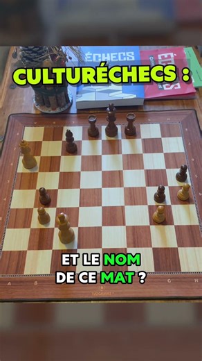 Cette gaffe se punit comment ? Et le mat a un nom… 🤔♟️ #chess #quiz #checkmate #pourtoi
