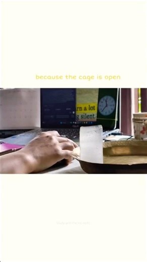 would you dare to fly? 🕊️💸