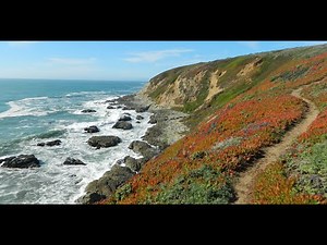 Bodega Bay Head Trail Sonoma County, California | Hiking