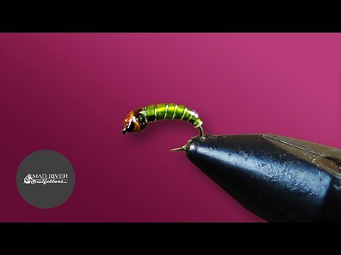 STUPIDLY SIMPLE CADDIS LARVA: Fly Tying Tutorial