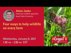 Four ways to help wildlife on every farm