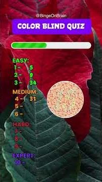 Colorblind Challenge | Can You Guess the Hidden Number?