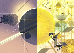 “Forms in Nature,” in-depth process with Chromosphere and David Kamp