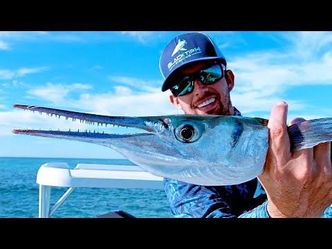 Fishing for Aggressive Houndfish on the Flats in the Bahamas - 4K