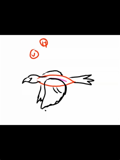 Toughest Animation Challenges for Beginners Explained