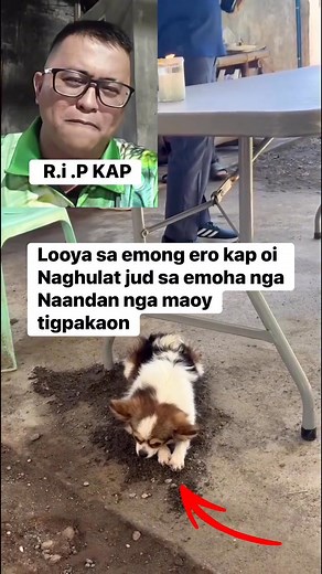 kalooy pod 🥹🥺. | Celi Ram