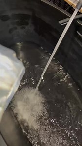 Vivement un bain au sel de bain barbe à papa https://www.francoislambert.one/products/sel-de-bain-effervescent-a-la-barbe-a-papa | François Lambert