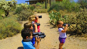 Grab this deal: A free camping night at Maricopa County parks