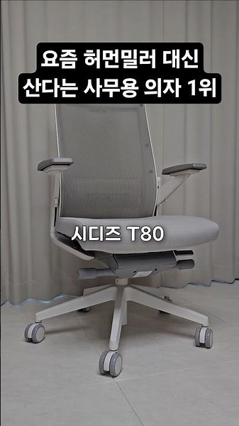 Why Choose the Sidiz T80 Office Chair Instead of the Herman Miller
