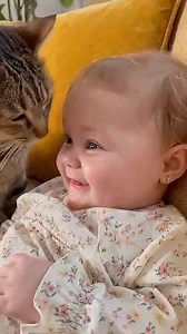 1.2M views · 34K reactions |  Even while being tickled by whiskers, the baby is all smiles. The cat is definitely trying to be funny! #WhiskerTickles #CatPlaytime #ContagiousLaughter #HappyBaby | TICA | Facebook