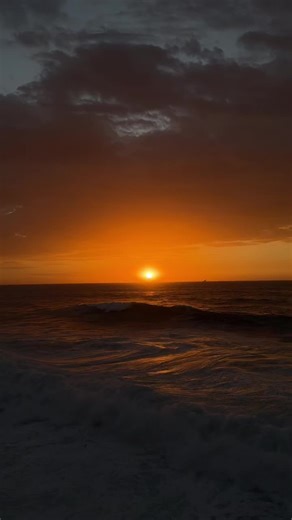 Videos de Dancarrillophoto (@dancarrillophoto) con “Get You (feat. Kali Uchis) - Daniel Caesar”