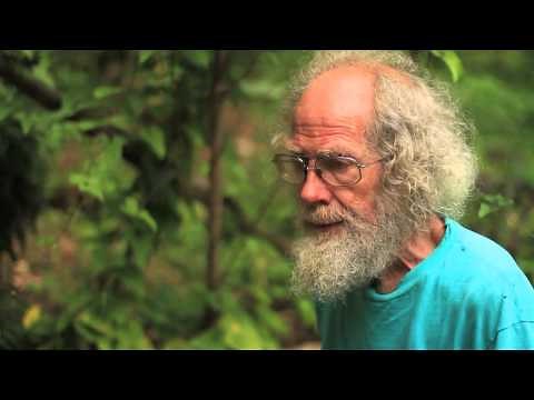 Chinese Yam (shan yao)