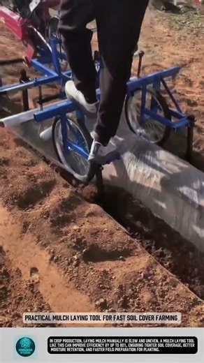 Practical Mulch Laying Tool for Fast Soil Cover Farming #tools