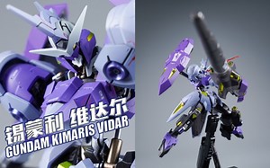 大舅哥的悲鸣！万代 METAL ROBOT魂 高达 锡蒙利 维达尔 MR魂 【评头论足】