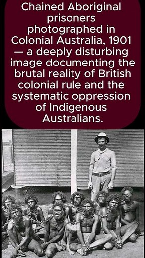 They Chained Humans to Trees and Called It Civilization