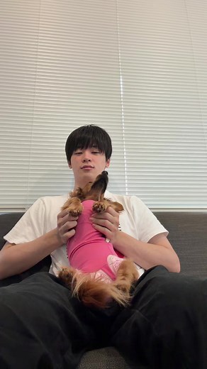 ジェリー1歳になったよ！小さい者3人のうち1番甘えん坊！