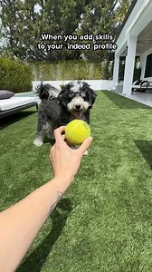 Find jobs that match your skills. | Indeed